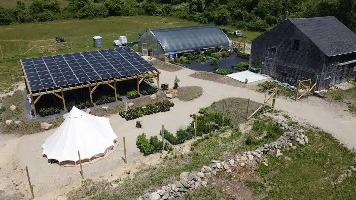 Westport Native Nursery Solar Pergola — project photograph